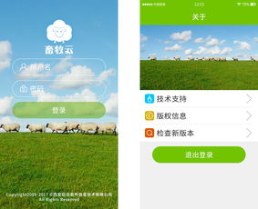 从巨龙软件到奥龙信息 西安信息技术企业的发展轨迹