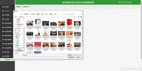 基于django vue vue哈尔滨海关进出口食品安全信息管理系统 计算机毕设
